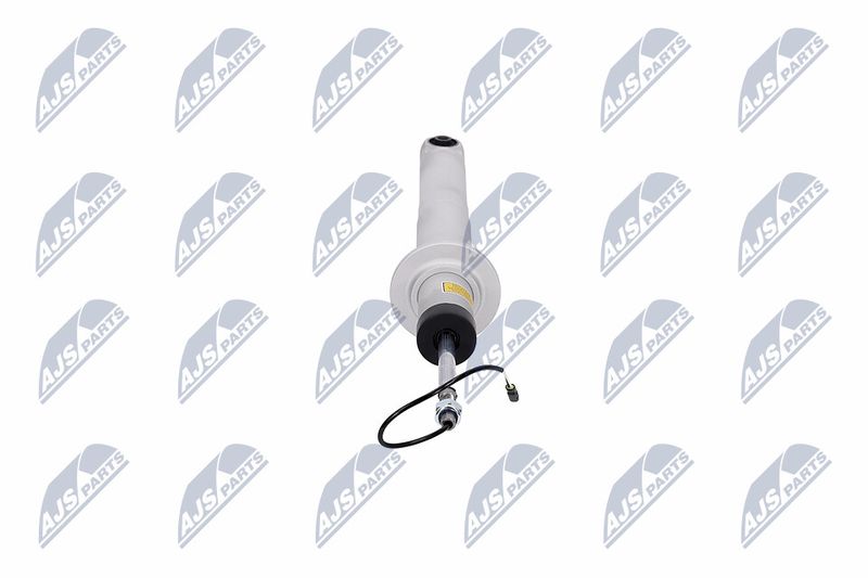 Amort, NTY A-MA-003