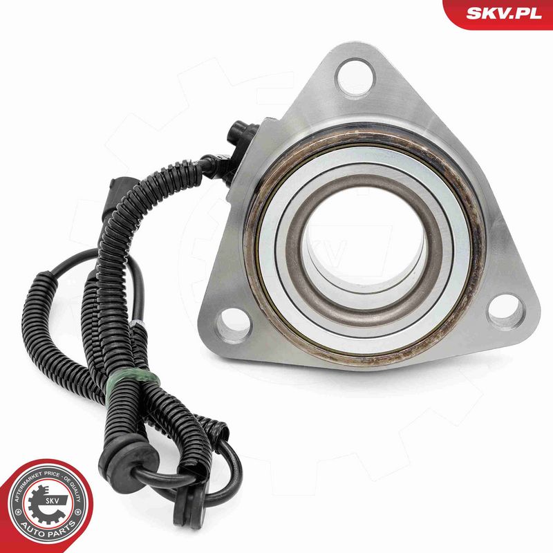 ESEN SKV 29SKV529 Wheel Bearing Kit