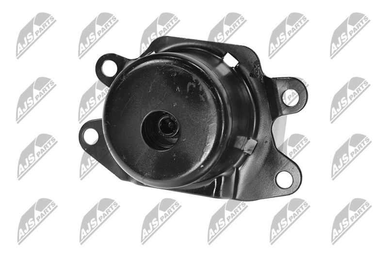 Paigutus, Mootor, NTY ZPS-PL-053