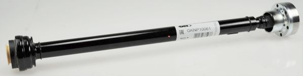 GKNP10061