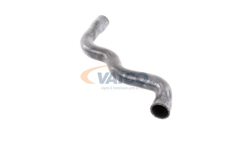 VAICO V30-2915 Radiator Hose