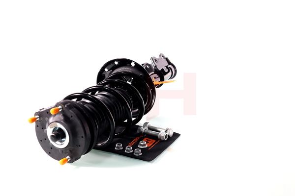 Vedruamort, GH GH-352388C01