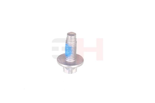 Vedruamordi tugilaager, GH GH-393311