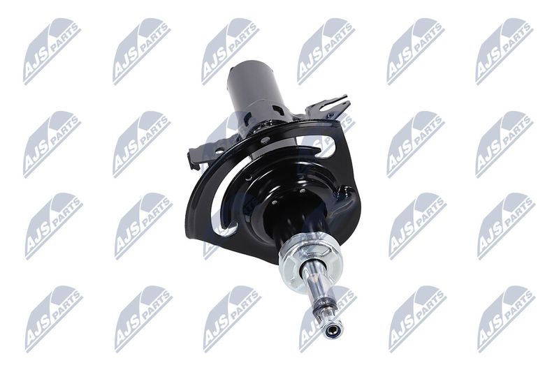 Amort, NTY A-CH-084