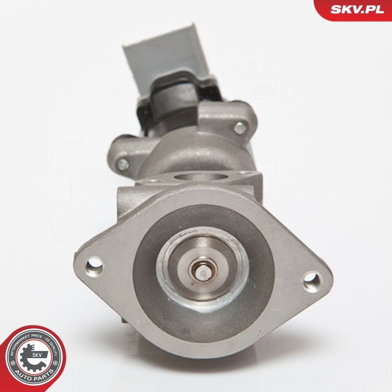 EGR-klapp, ESEN SKV 14SKV073