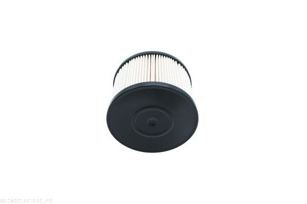 AUTOMEGA 180013510 Fuel Filter