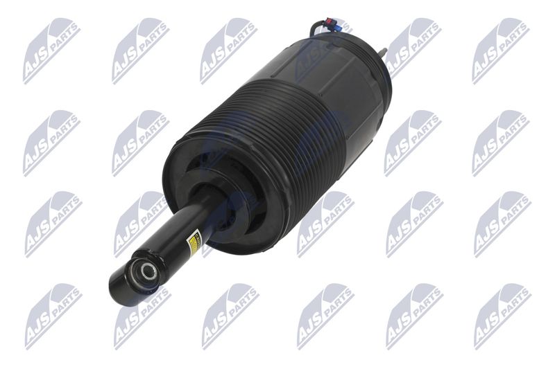 Amort, NTY A-CH-099