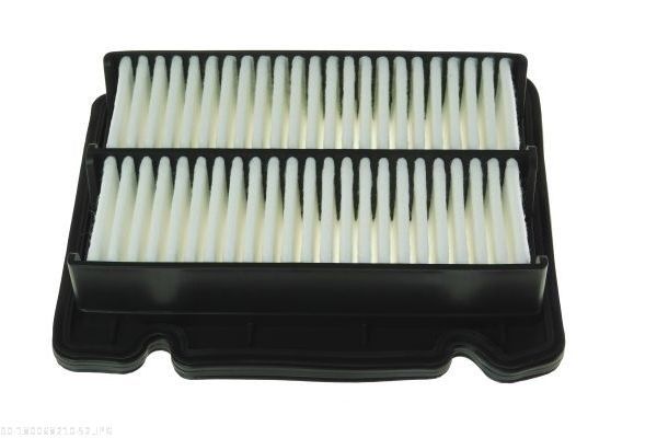 AUTOMEGA 180068210 Air Filter