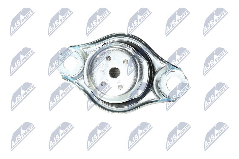 Paigutus, Mootor, NTY ZPS-FT-005