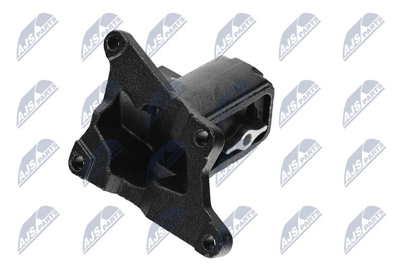 Paigutus, Mootor, NTY ZPS-CH-030