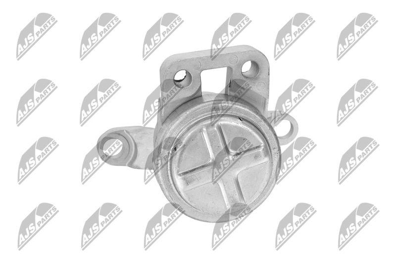 Paigutus, Mootor, NTY ZPS-FR-033