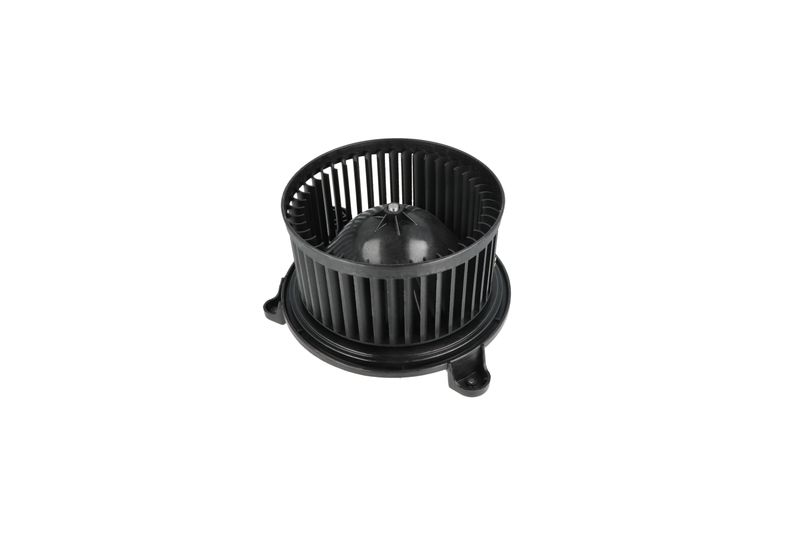 Salongipuhur, NRF 34365