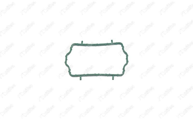 NIFEA 17045 - Gasket, thermostat housing