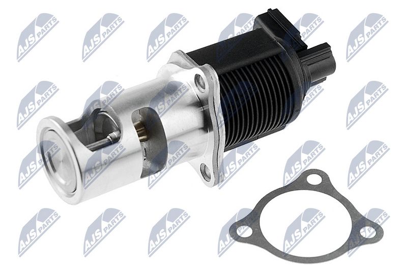 EGR-klapp, NTY EGR-NS-001