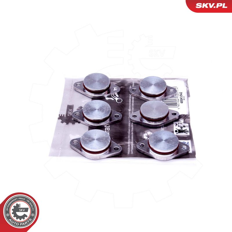 Remondikomplekt, imitoru moodul, ESEN SKV 49SKV542