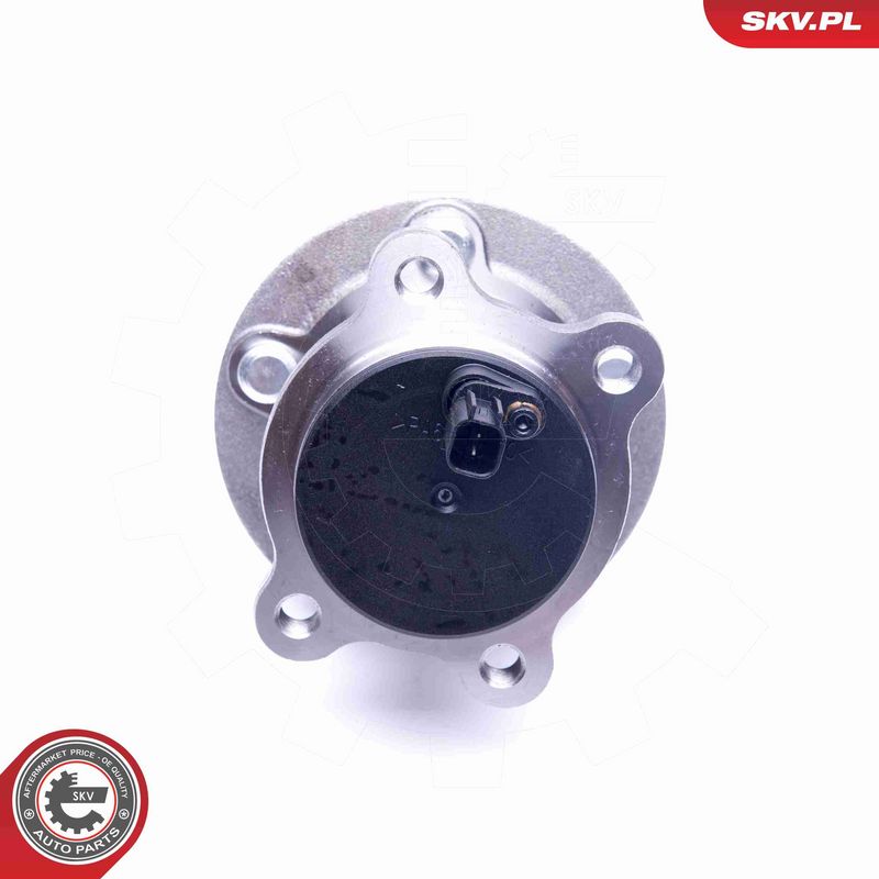 ESEN SKV 29SKV310 Wheel Bearing Kit