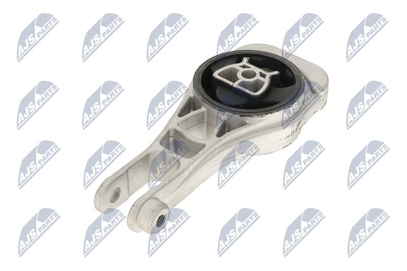 Paigutus, Mootor, NTY ZPS-PL-079