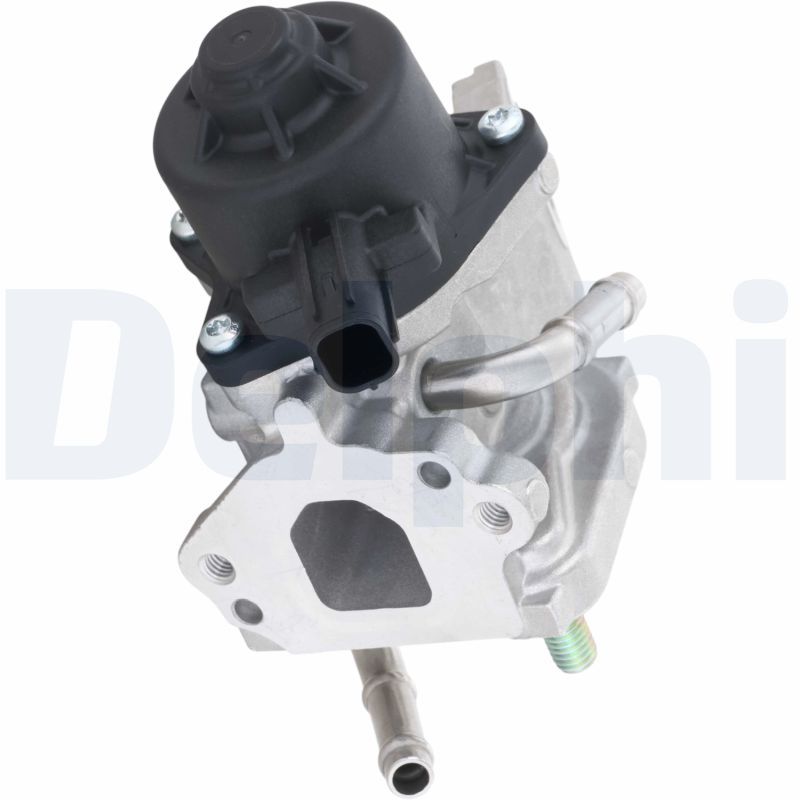 Delphi EGR Valve EG10775-12B1