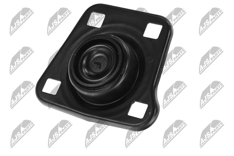 Paigutus, Mootor, NTY ZPS-FR-062