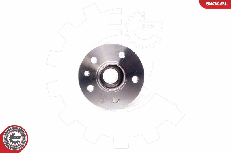 ESEN SKV 29SKV074 Wheel Bearing Kit