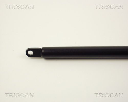 TRIS8710353_2.JPG