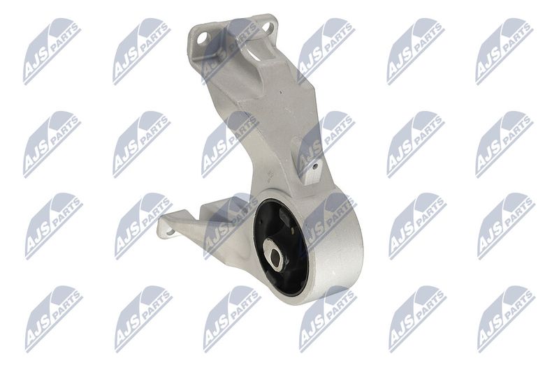 Paigutus, Mootor, NTY ZPS-CH-105