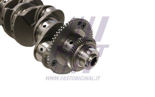 FT51702_4_1.JPG
