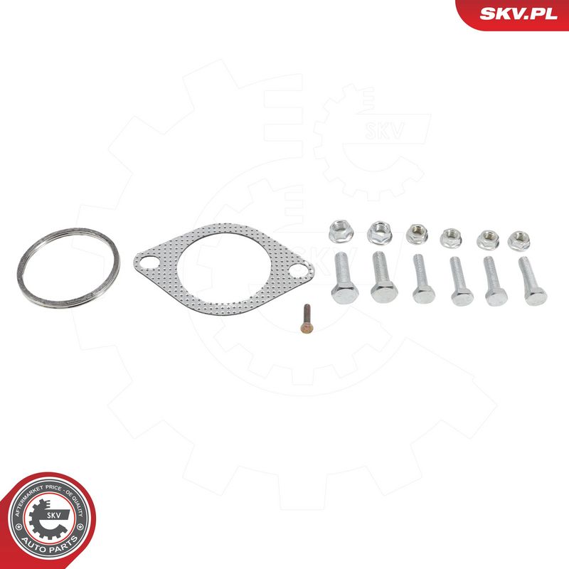 Katalüsaator, ESEN SKV 62SKV168