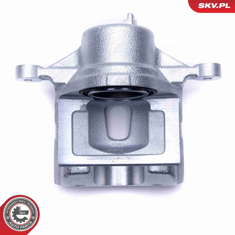 ESEN SKV 46SKV841 Brake Caliper