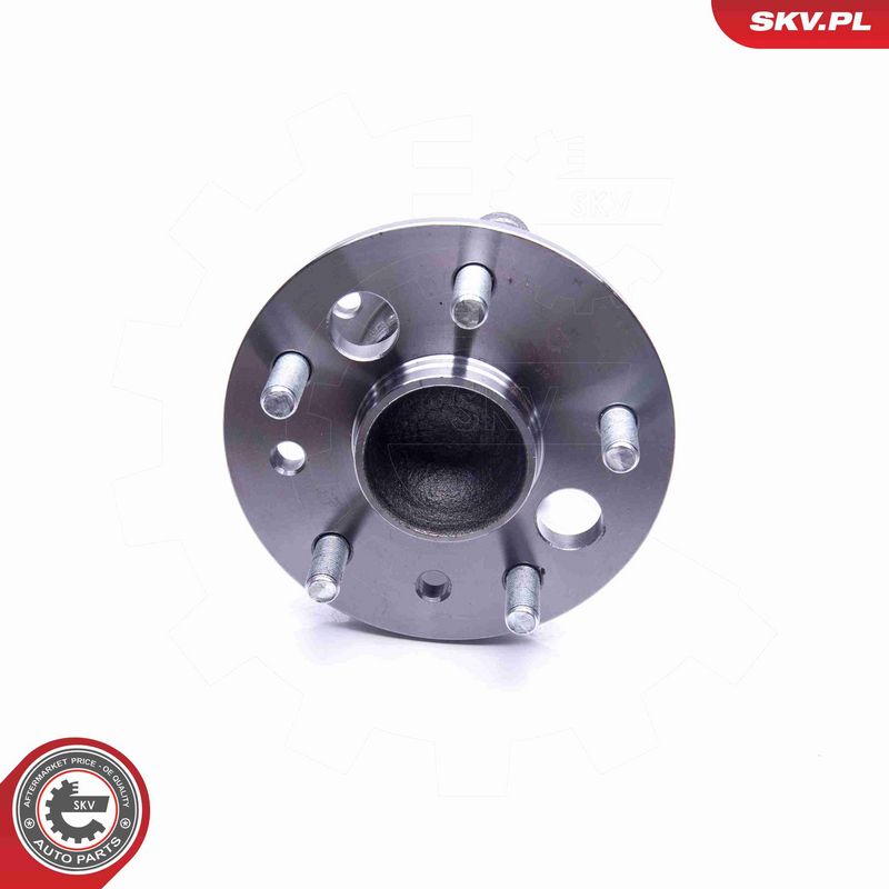 ESEN SKV 29SKV273 Wheel Bearing Kit