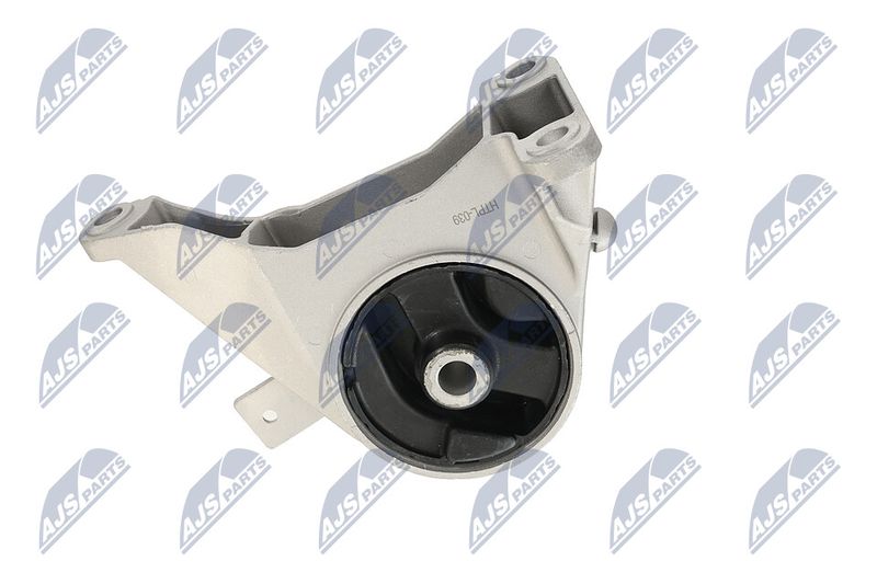 Paigutus, Mootor, NTY ZPS-PL-039