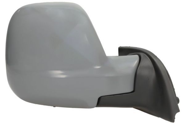 BLIC 5402-21-2194319P Exterior Mirror