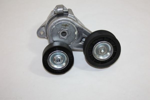 AUTOMEGA 160025210 - Tensioner Lever, V-ribbed belt