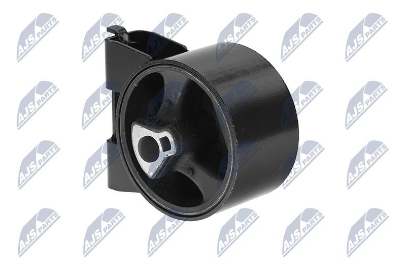 Paigutus, Mootor, NTY ZPS-CH-054