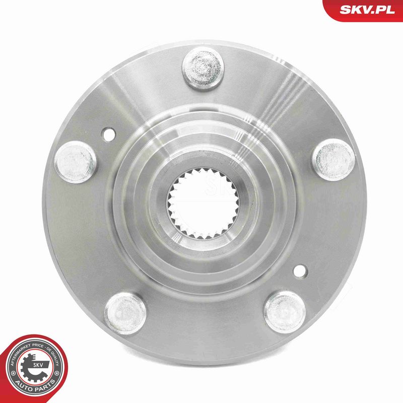 ESEN SKV 29SKV597 Wheel Bearing Kit