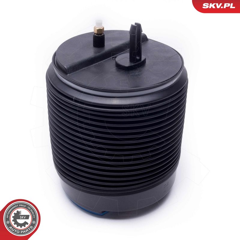 Õhkvedru, vedrustus, ESEN...