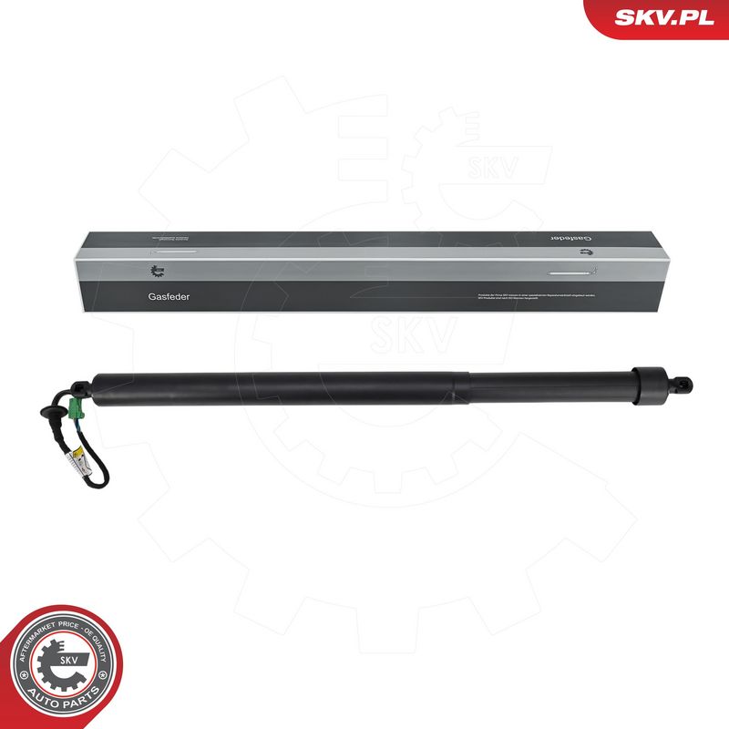 Elektrimootor, tagaluuk, ESEN SKV 52SKV885