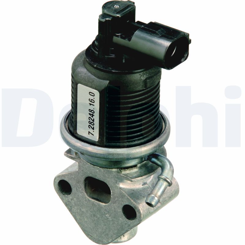 Delphi EGR Valve EG10309-12B1