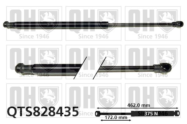 QUINTON HAZELL gázrugó, csomag-/poggyásztér QTS828435