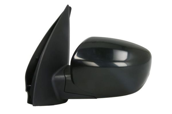 BLIC 5402-20-2001385P Exterior Mirror