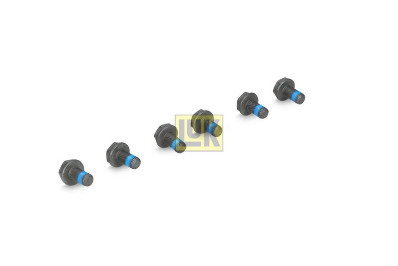 Kruvikomplekt, hooratas Schaeffler LuK 411000710