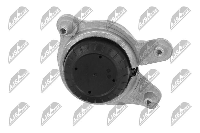 Paigutus, Mootor, NTY ZPS-ME-049