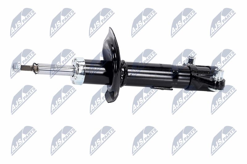 Amort, NTY A-NS-016