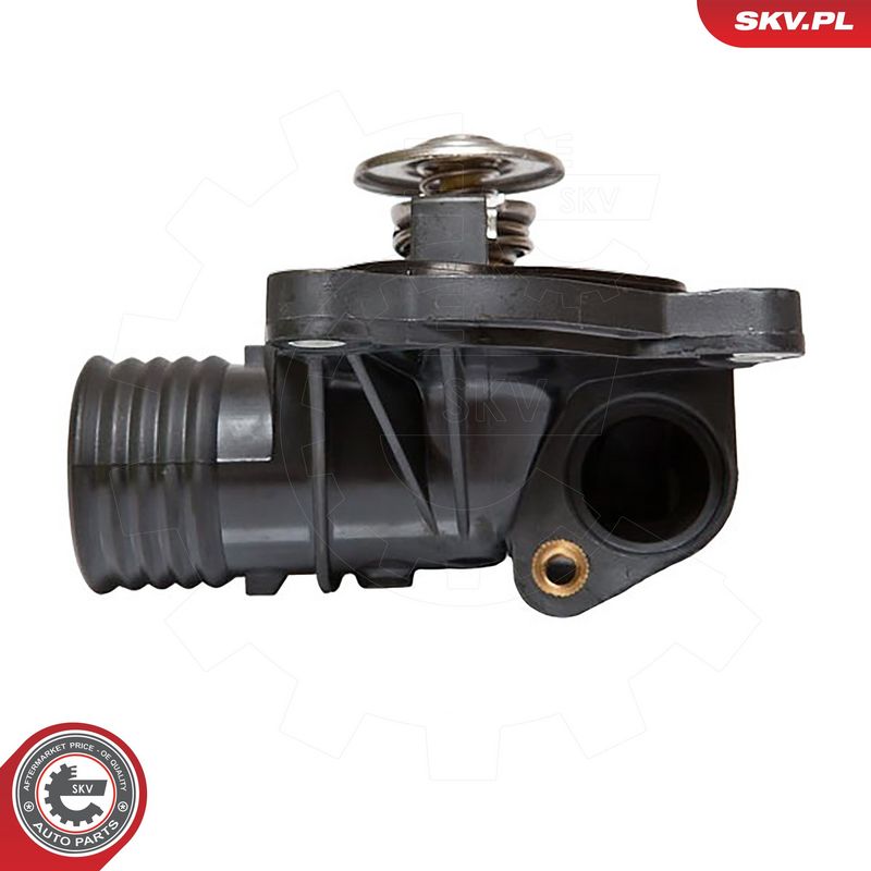 Termostaat, Jahutusvedelik, ESEN SKV 20SKV001