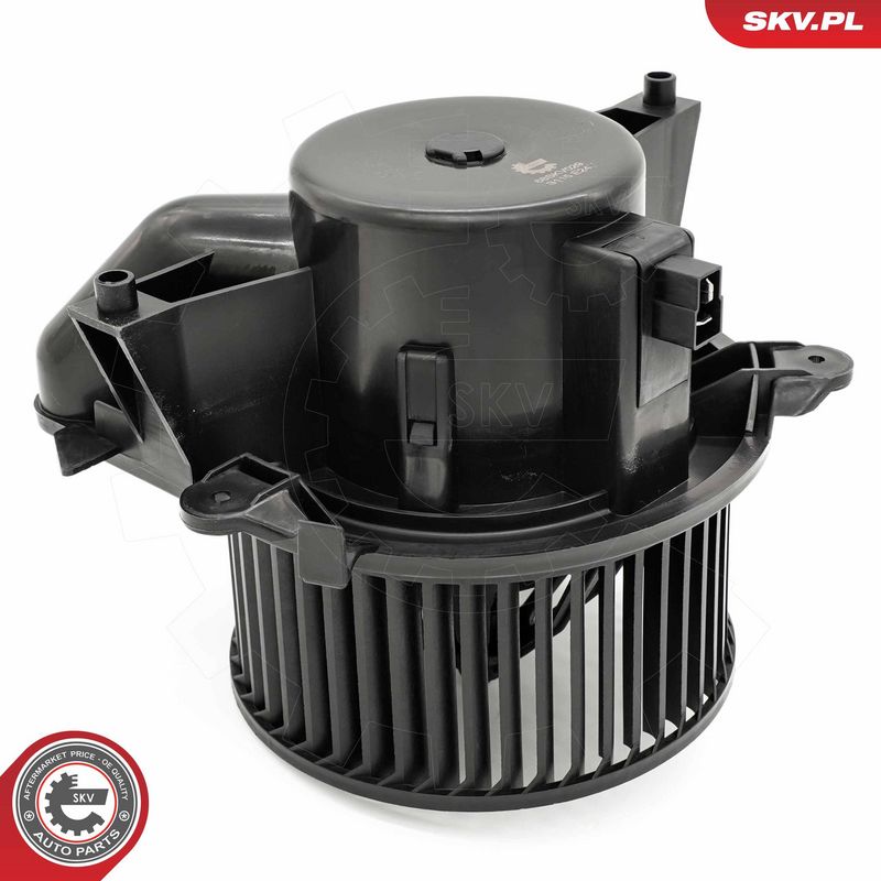 Salongipuhur, ESEN SKV...