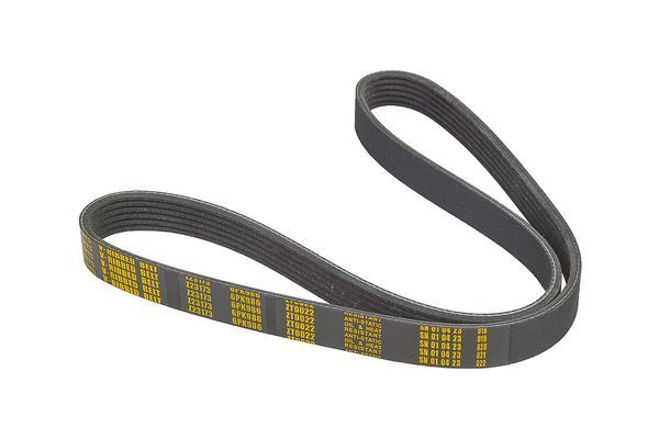 ZentParts Z23173 V-ribbed Belt