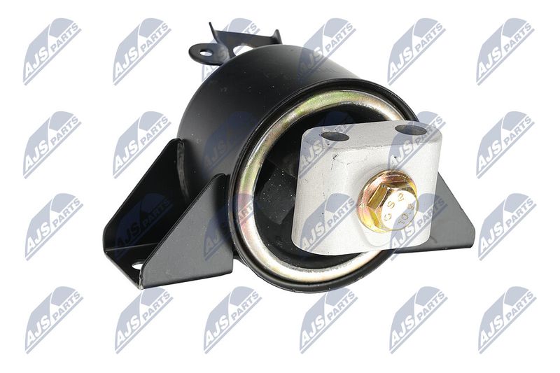 Paigutus, Mootor, NTY ZPS-DW-010