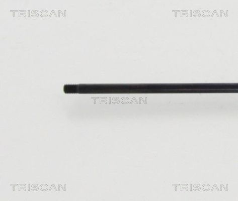 TRIS8710819367500_2.JPG