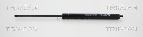 TRIS8710615277350.JPG