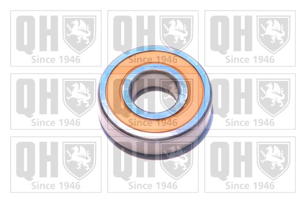 QH_XB9929.JPG